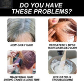 Hair Color-free Hair Cream VEGASHOP VEGASHOP Hair Color-free Hair Cream